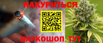 стафф Кингисепп