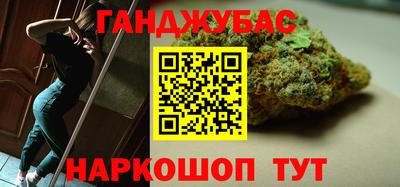 стафф Кингисепп
