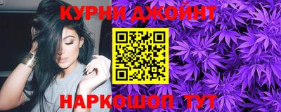 стафф Кингисепп