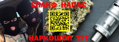 стафф Кингисепп
