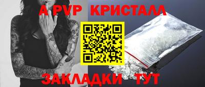 стафф Кингисепп