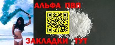 стафф Кингисепп