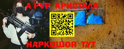 стафф Кингисепп