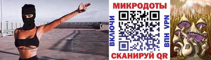Галлюциногенные грибы Magic Shrooms  где купить наркоту  Заинск 